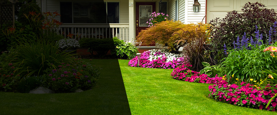 Lawrence Landscapers
